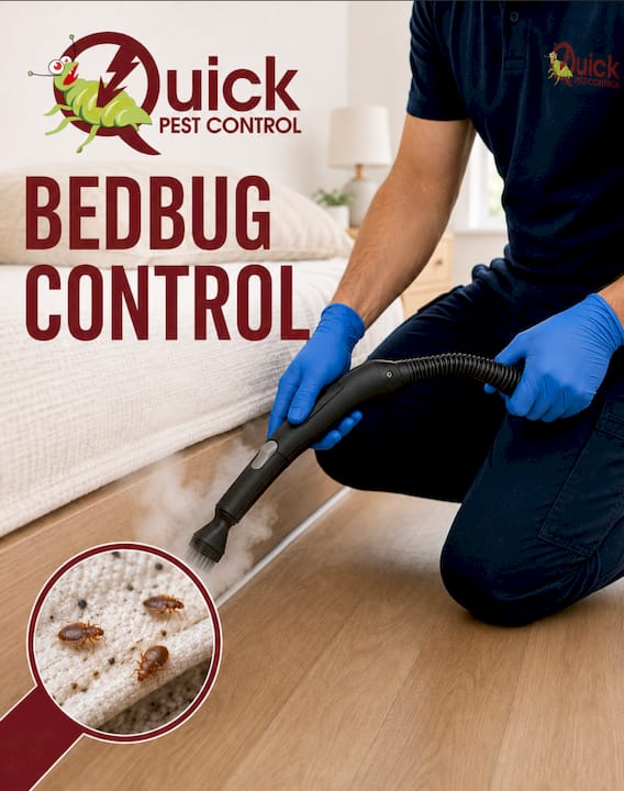 Woman inspecting mattress seams for bedbugs